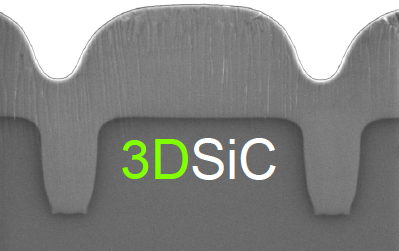 Features of SiC Device Foundry Services